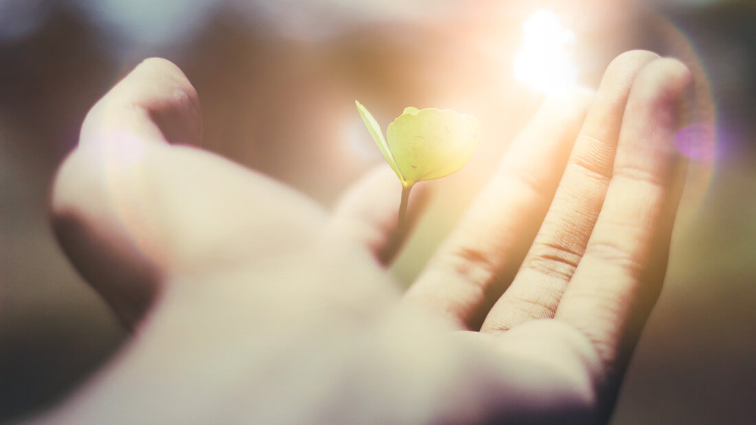 Schmerztherapie mit Hypnose begleiten – Praxis des Deutschen Hypnoseinstituts 